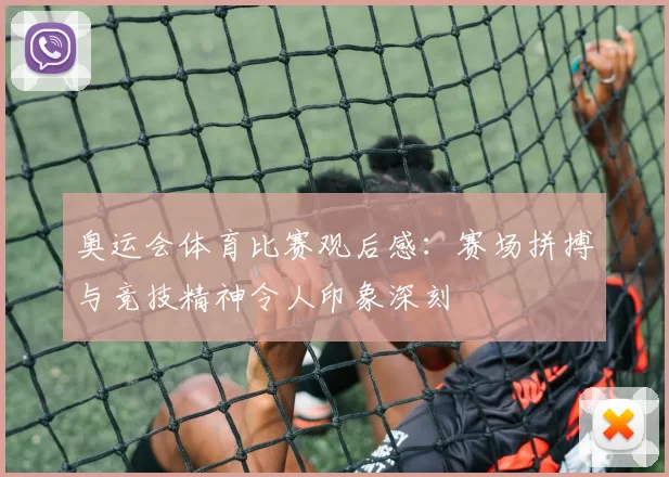 奥运会体育比赛观后感:赛场拼搏与竞技精神令人印象深刻