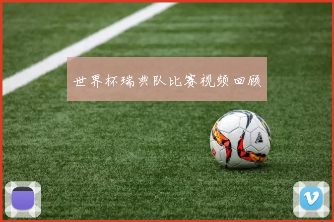 世界杯瑞典队比赛视频回顾