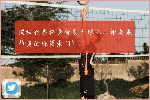 揭秘世界杯身价前十球队：谁是最昂贵的绿茵豪门？