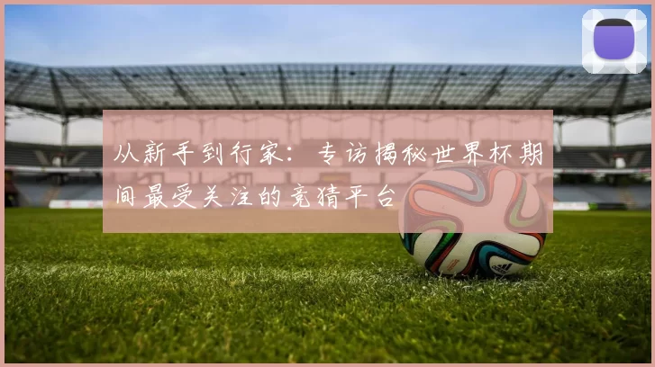 从新手到行家：专访揭秘世界杯期间最受关注的竞猜平台