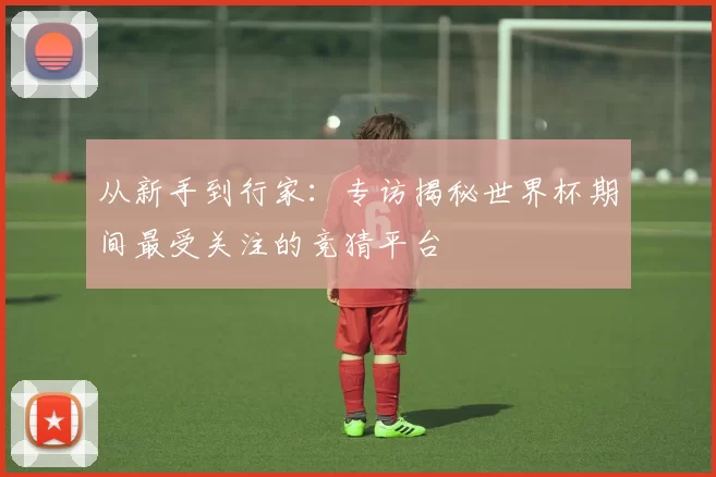 从新手到行家：专访揭秘世界杯期间最受关注的竞猜平台