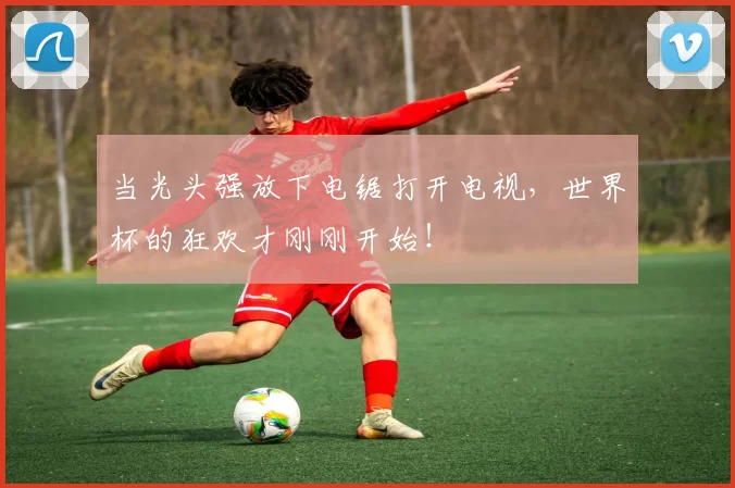 当光头强放下电锯打开电视，世界杯的狂欢才刚刚开始！