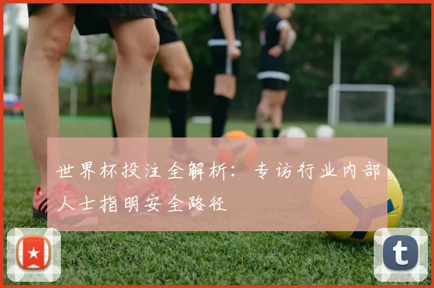世界杯投注全解析：专访行业内部人士指明安全路径