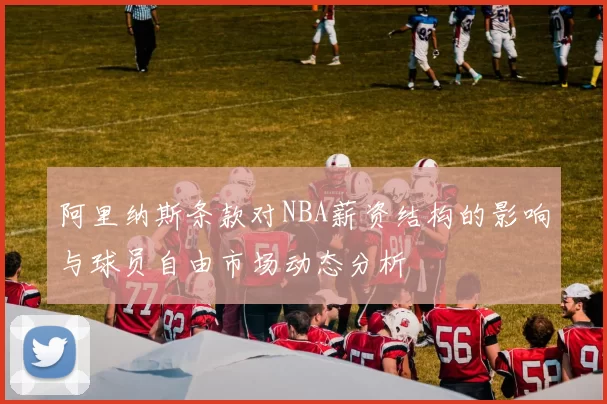 阿里纳斯条款对NBA薪资结构的影响与球员自由市场动态分析
