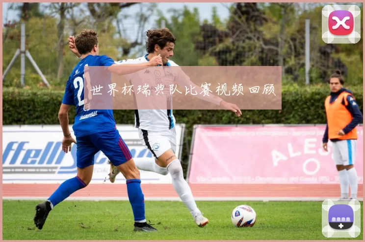 世界杯瑞典队比赛视频回顾