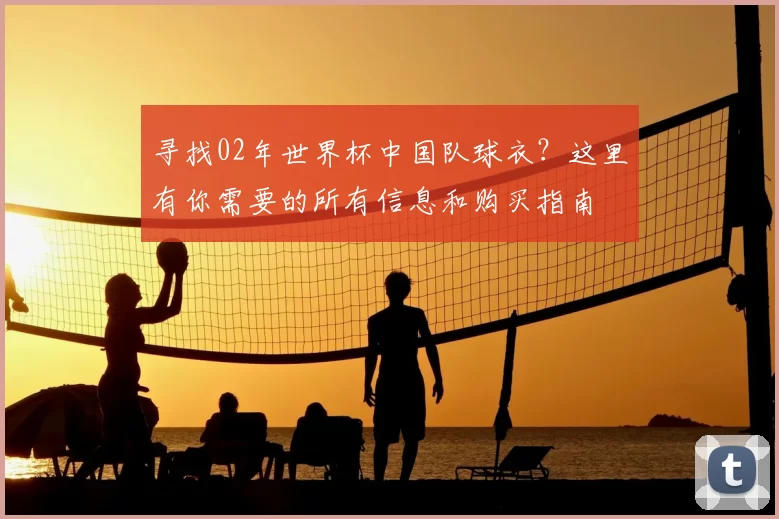 寻找02年世界杯中国队球衣？这里有你需要的所有信息和购买指南