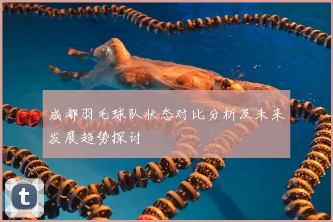 成都羽毛球队状态对比分析及未来发展趋势探讨