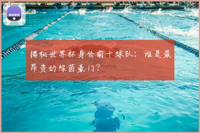 揭秘世界杯身价前十球队：谁是最昂贵的绿茵豪门？