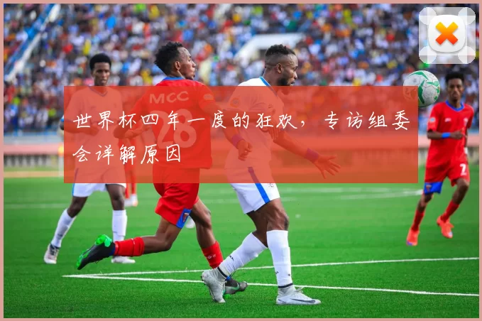 世界杯四年一度的狂欢，专访组委会详解原因