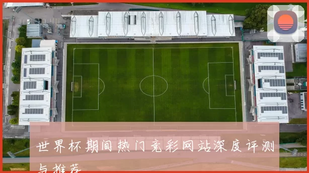 世界杯期间热门竞彩网站深度评测与推荐