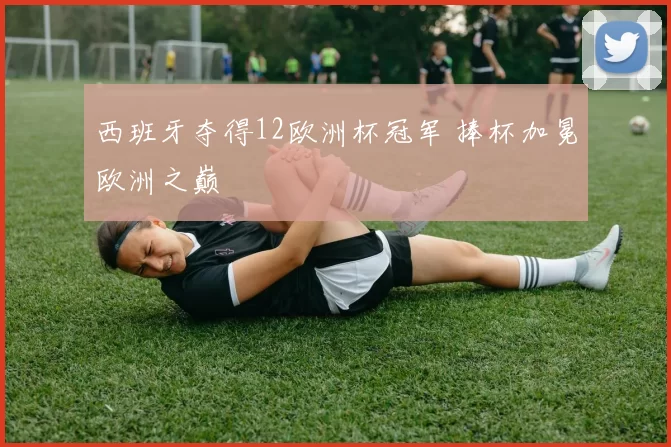 西班牙夺得12欧洲杯冠军 捧杯加冕欧洲之巅