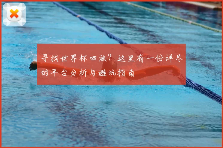 寻找世界杯回放?这里有一份详尽的平台分析与避坑指南