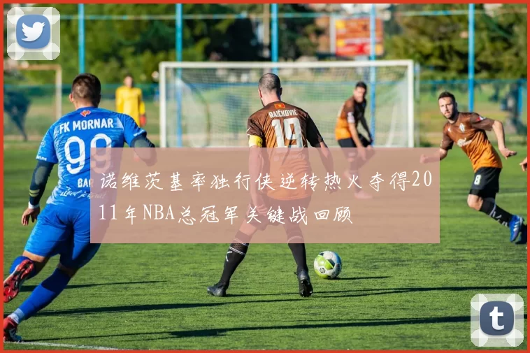 诺维茨基率独行侠逆转热火夺得2011年NBA总冠军关键战回顾