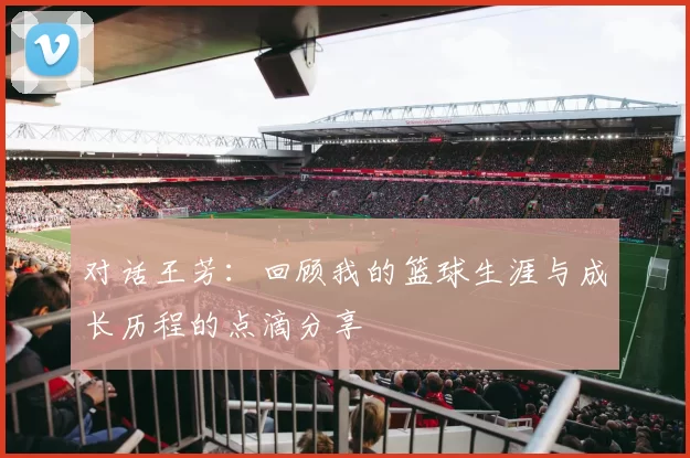 对话王芳：回顾我的篮球生涯与成长历程的点滴分享