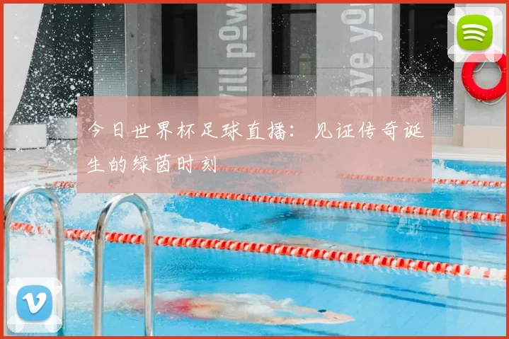 今日世界杯足球直播：见证传奇诞生的绿茵时刻
