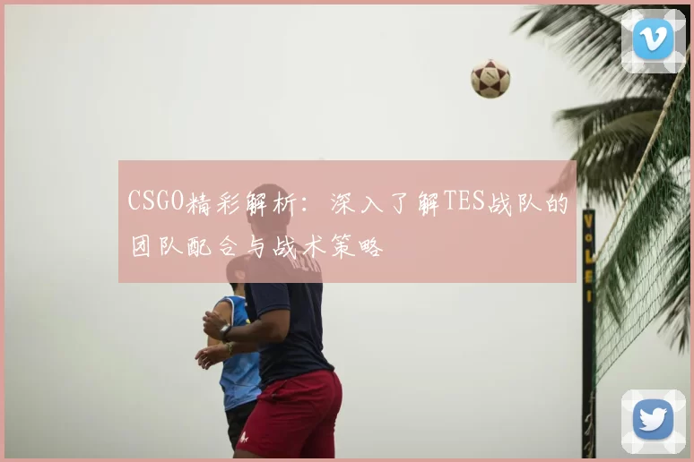 CSGO精彩解析：深入了解TES战队的团队配合与战术策略