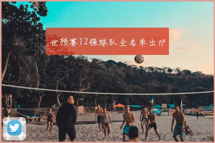世预赛12强球队全名单出炉