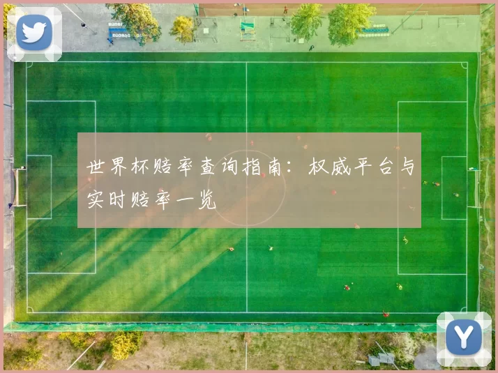 世界杯赔率查询指南：权威平台与实时赔率一览