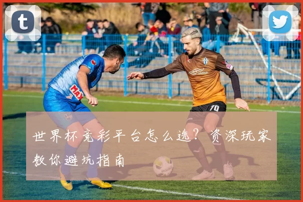 世界杯竞彩平台怎么选？资深玩家教你避坑指南
